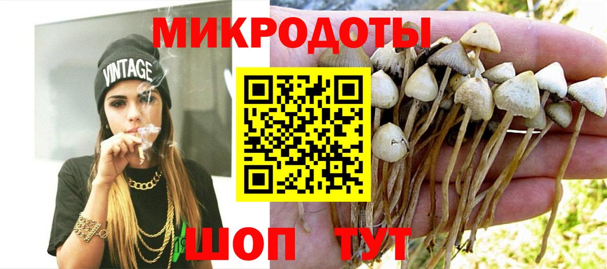 Галлюциногенные грибы мицелий Ноябрьск