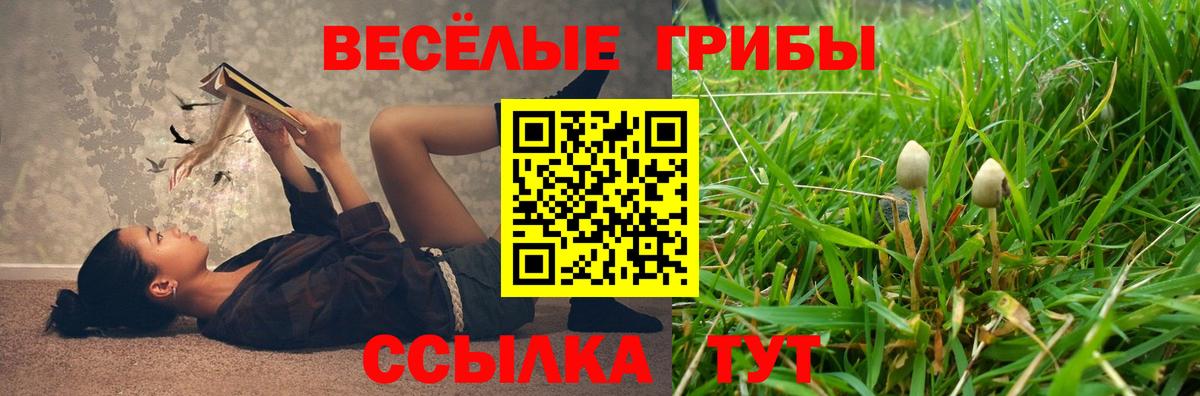 Ноябрьск  Псилоцибиновые грибы GOLDEN TEACHER  Вход с VPN 